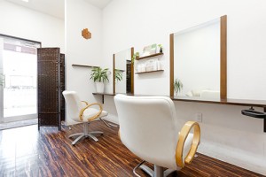 salon_img004